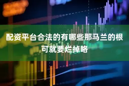 配资平台合法的有哪些那马兰的根可就要烂掉咯