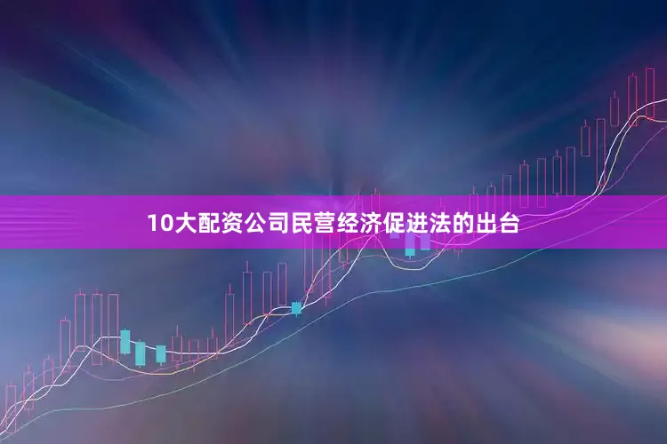 10大配资公司　　民营经济促进法的出台