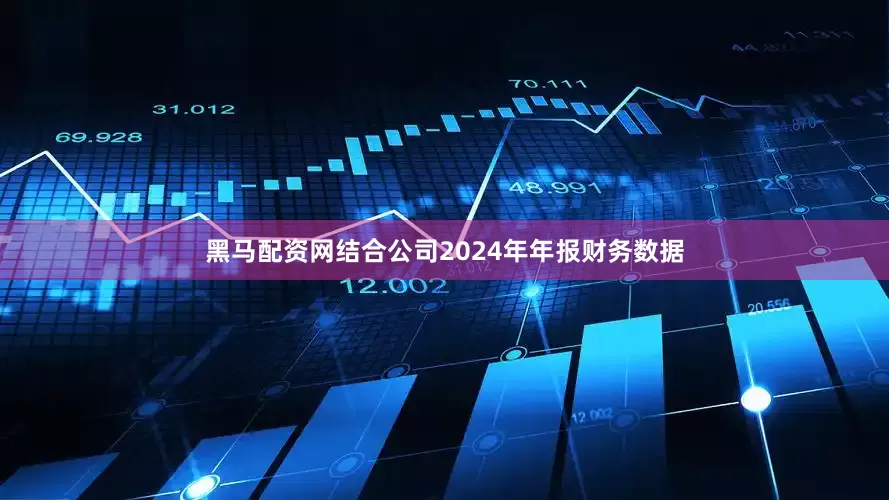 黑马配资网结合公司2024年年报财务数据