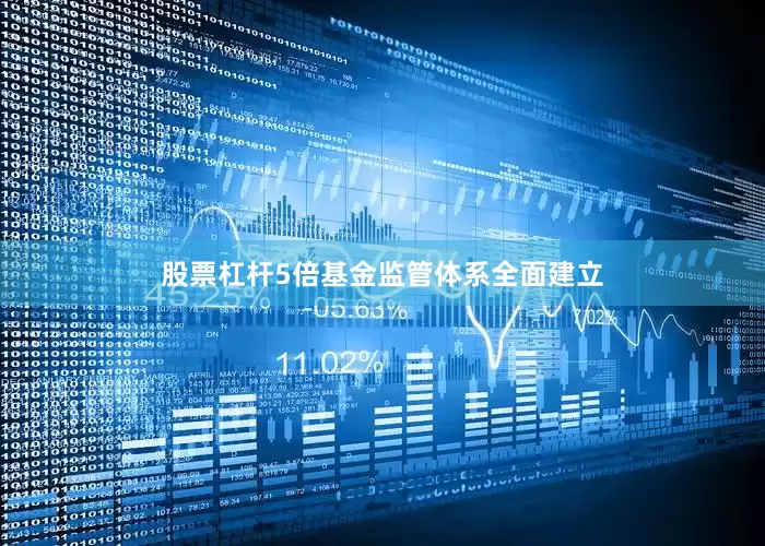 股票杠杆5倍基金监管体系全面建立
