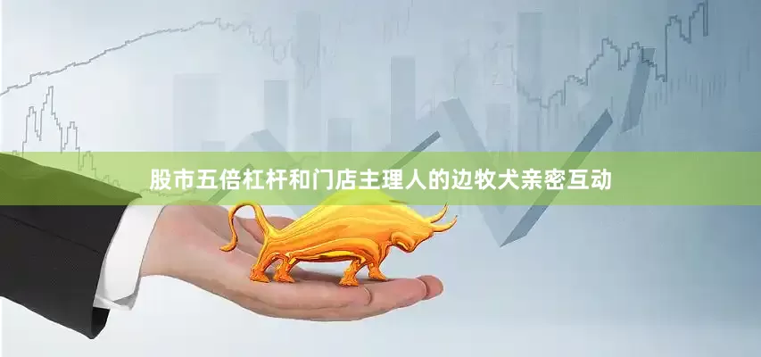 股市五倍杠杆和门店主理人的边牧犬亲密互动